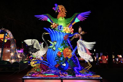 台灣燈會花燈賽　台中監獄「鳳凰展翅」奪燈王